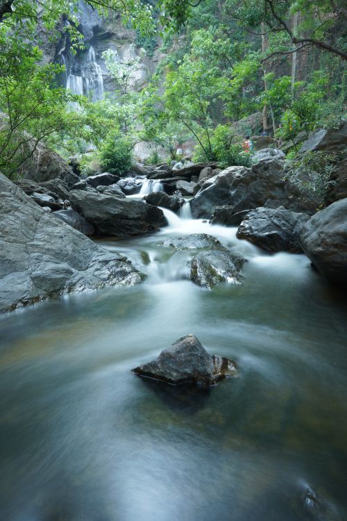 Free Peaceful flowing stream surrounded by lush greenery and rocks in a Thailand nature reserve. Stock Photo