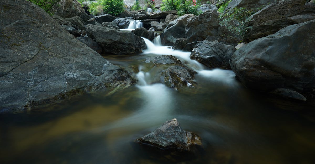 เสือโคร่งบุกหมู่บ้านกำแพงเพชร: เจ้าหน้าที่เร่งผลักดันกลับป่าแม่วงก์