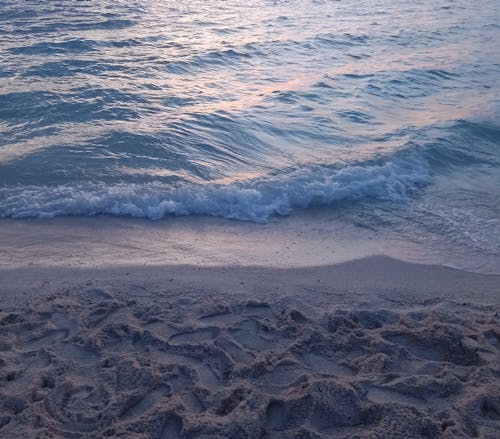 grátis Foto profissional grátis de água, areia, beira-mar Foto profissional