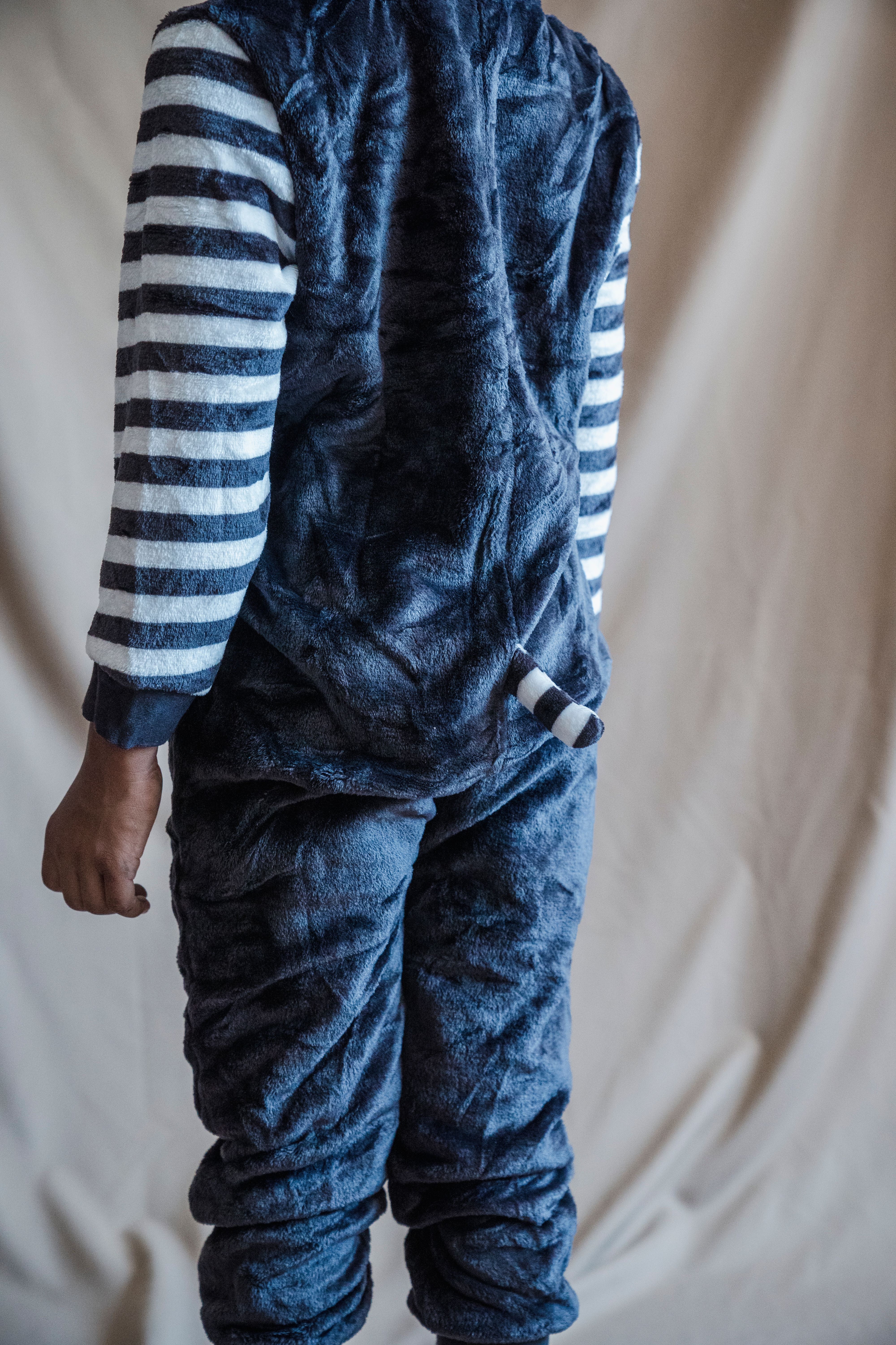 Back View of a Person Wearing Costiume · Free Stock Photo