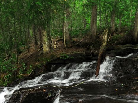 Tranquil forest scene featuring a cascading waterfall surrounded by lush greenery.