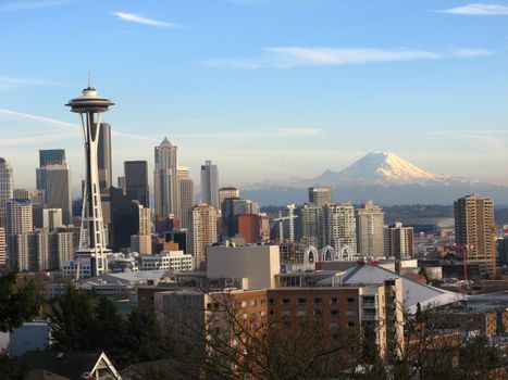 Mt Rainier day trip (summer) — Seattle