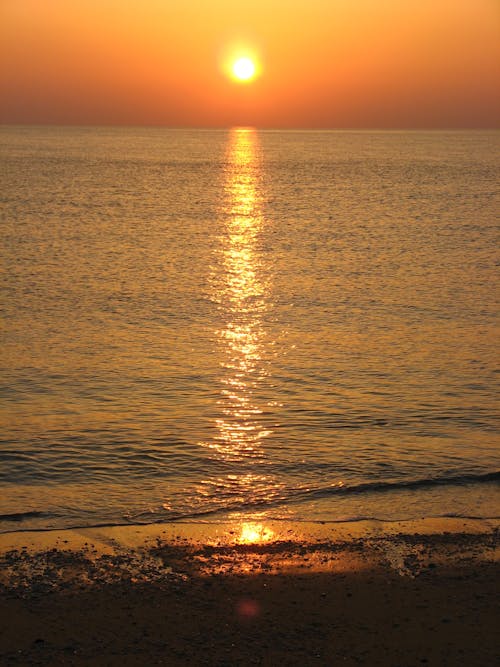 オレンジ色の空, ゴールデンアワー, ビーチの無料の写真素材