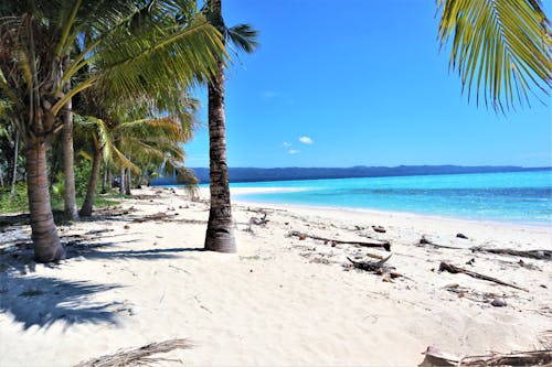 Kostenloses Stock Foto zu blauer himmel, küste, meer