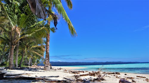 Fotos de stock gratuitas de arena, cielo azul, costa