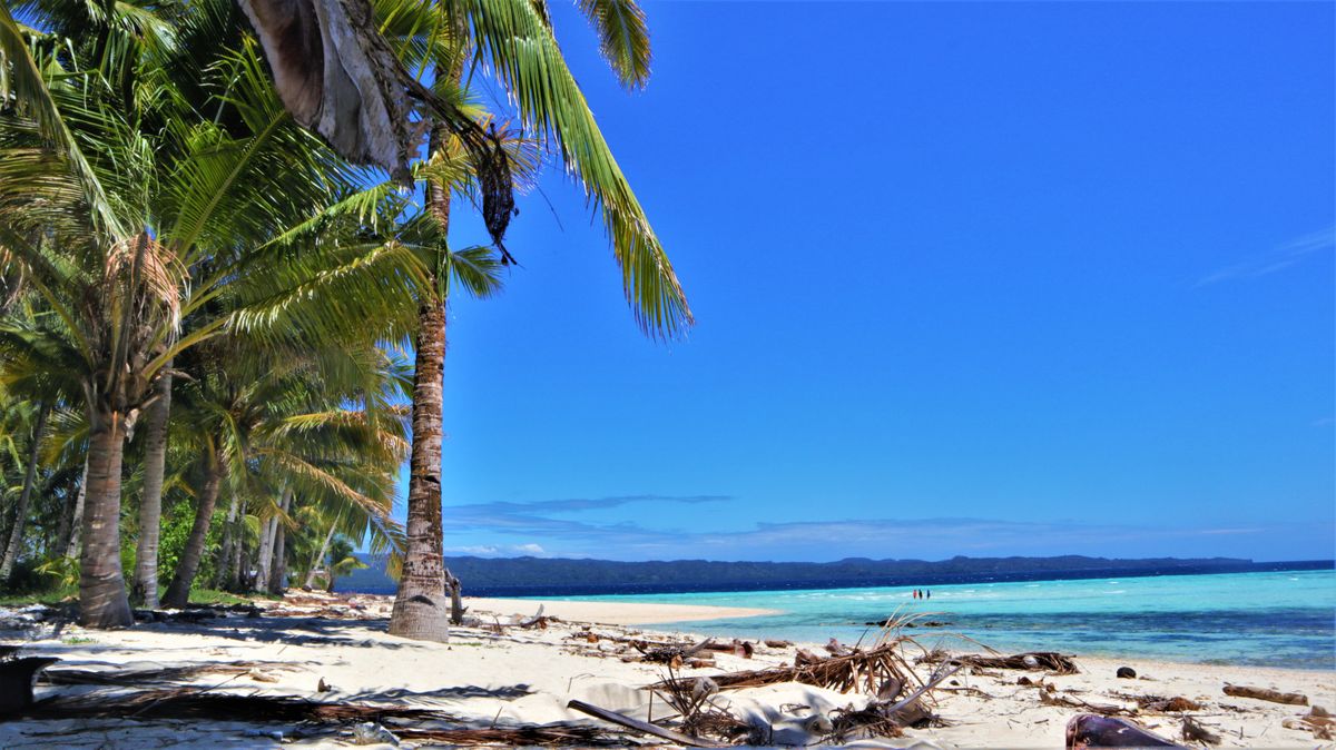 Beautiful Blue Flag certified beach with clean sand and clear blue sky — knowing what to look for helps visitors identify genuine certified beaches