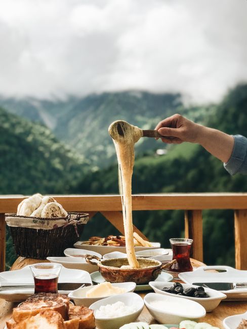 Gastronomy travel dining experiences
