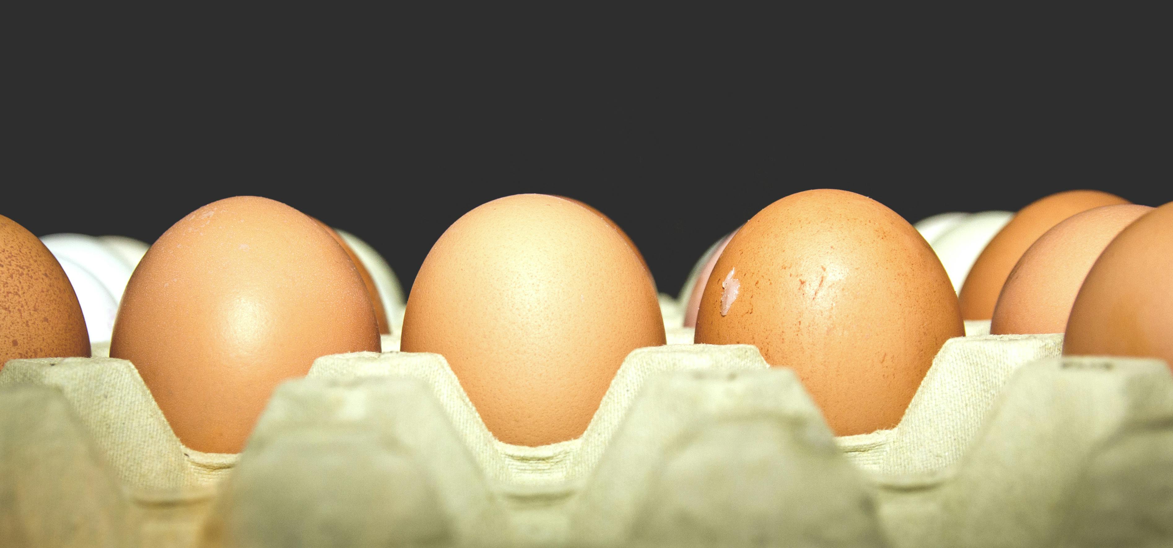 Kostenloses Foto zum Thema: eier, eierschale, haufen