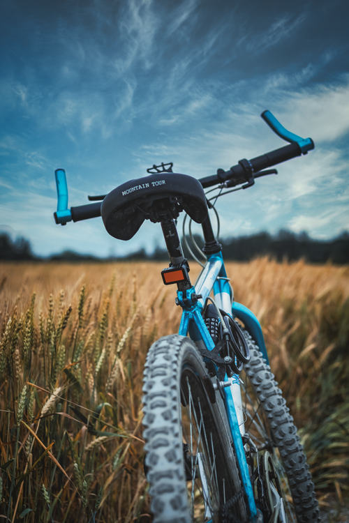 Free A mountain bike set in a lush wheat field under a blue sky in Canada. Stock Photo