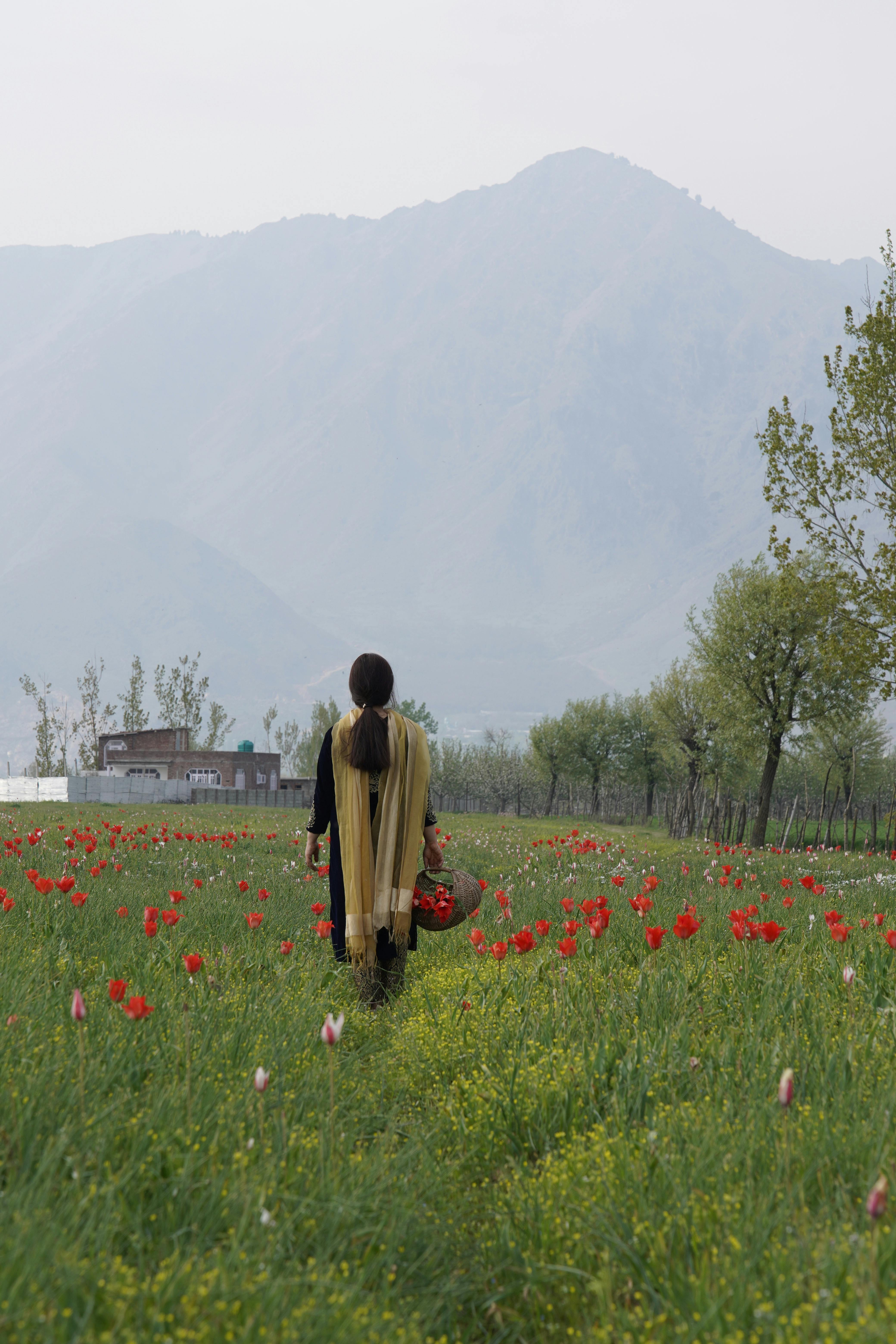 landscape man people field