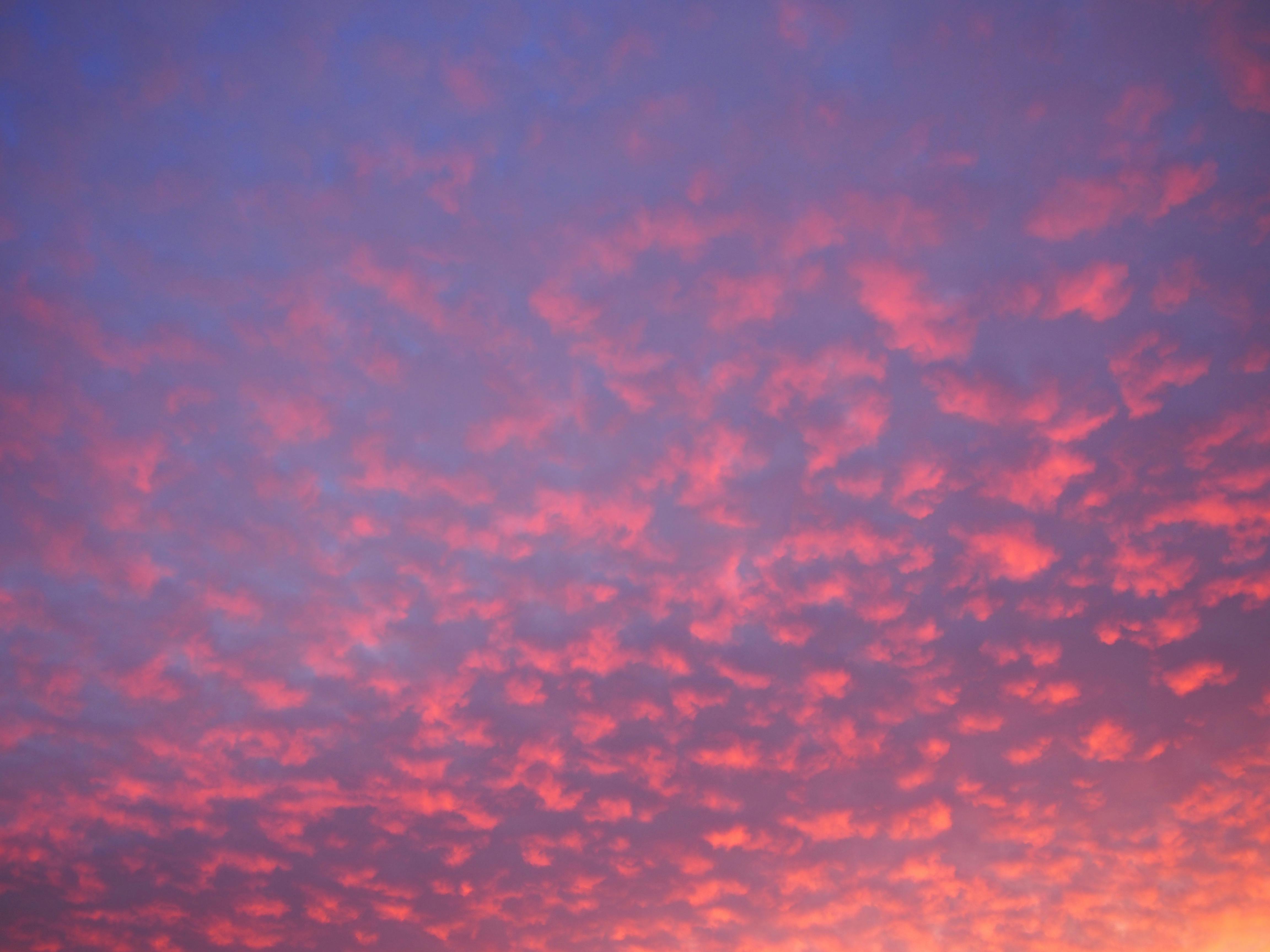 Free stock photo of clouds, fluffy clouds, pink