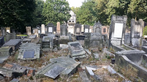 Kostnadsfri bild av gamla gravar, gamla kyrkogården