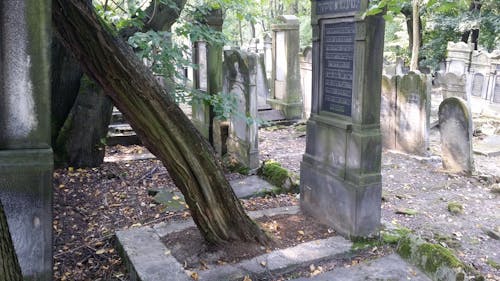 Kostnadsfri bild av gamla gravar, gamla kyrkogården, judisk kyrkogård