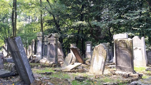 Gratis stockfoto met joodse begraafplaats, oude begraafplaats, oude graven