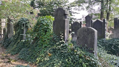 Photos gratuites de ancien cimetière, cimetière juif, vieilles tombes