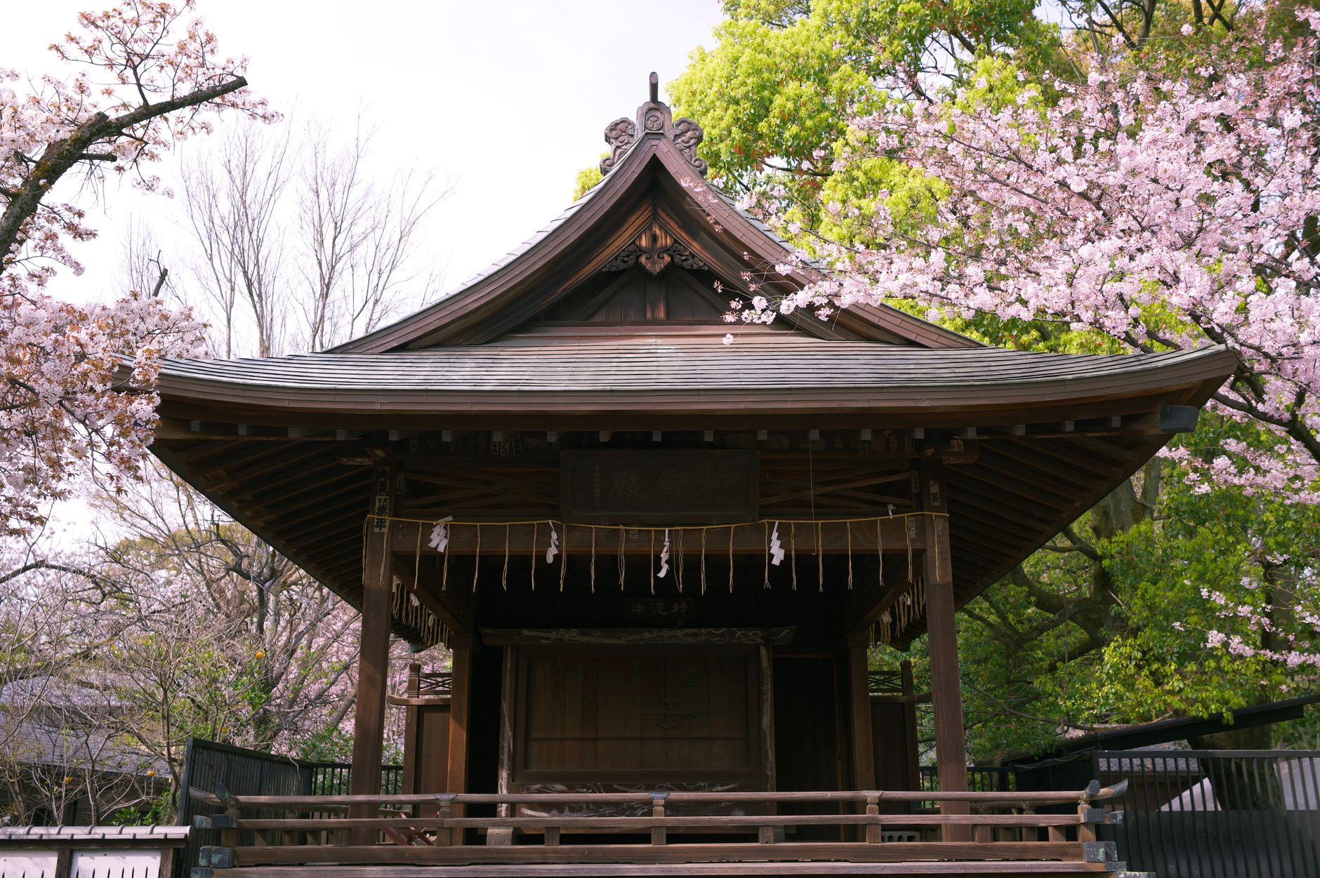 日本三大神宮の有力候補5社一覧