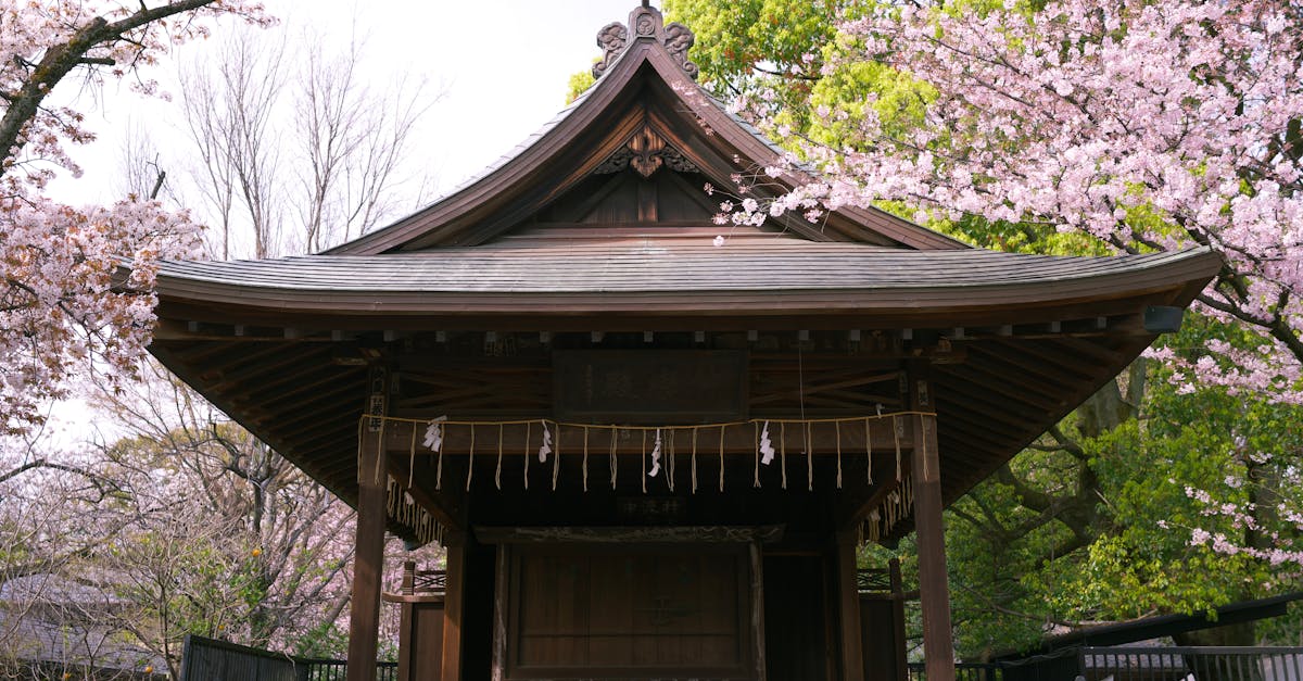 🎉 日本侍队66年首胜!吉田逆转全场!⚾️ 🎉 日本侍队66年首胜!吉田逆转全场!⚾️