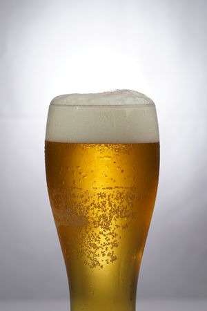 80. Warsteiner vom Fass 0,5 l