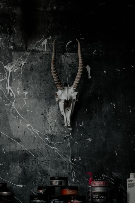 A gothic antelope skull displayed on a paint-splattered, dark wall with a mysterious ambiance.