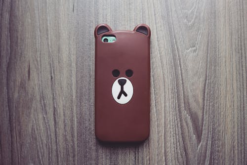 Fotografie Von Brown Bear Iphone Case