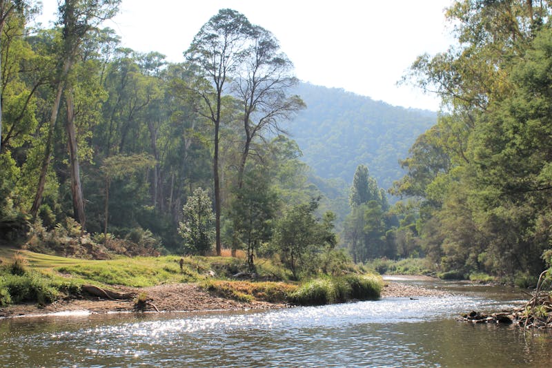 orang tua terlihat bingung dan lelah
