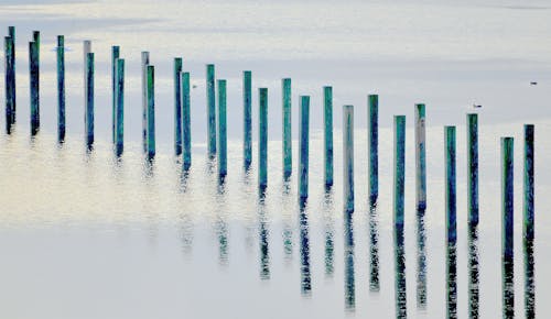 Free stock photo of water