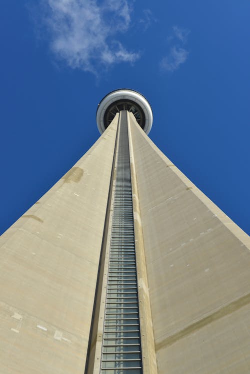 Free stock photo of cn tower