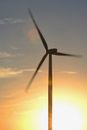 Brown 3-blade Windmill on Surise