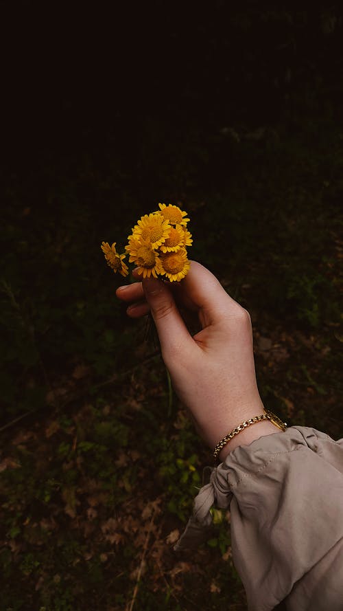 Photos gratuites de bracelet, doigts, fleurs jaunes