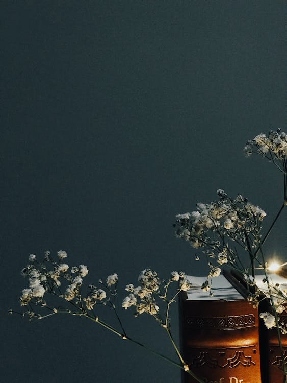 Composition with Books and Flowers