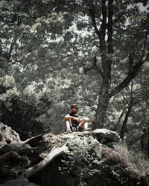 Free Outdoor scene of a man resting on a rock amidst a vibrant forest, ideal for hiking themes. Stock Photo
