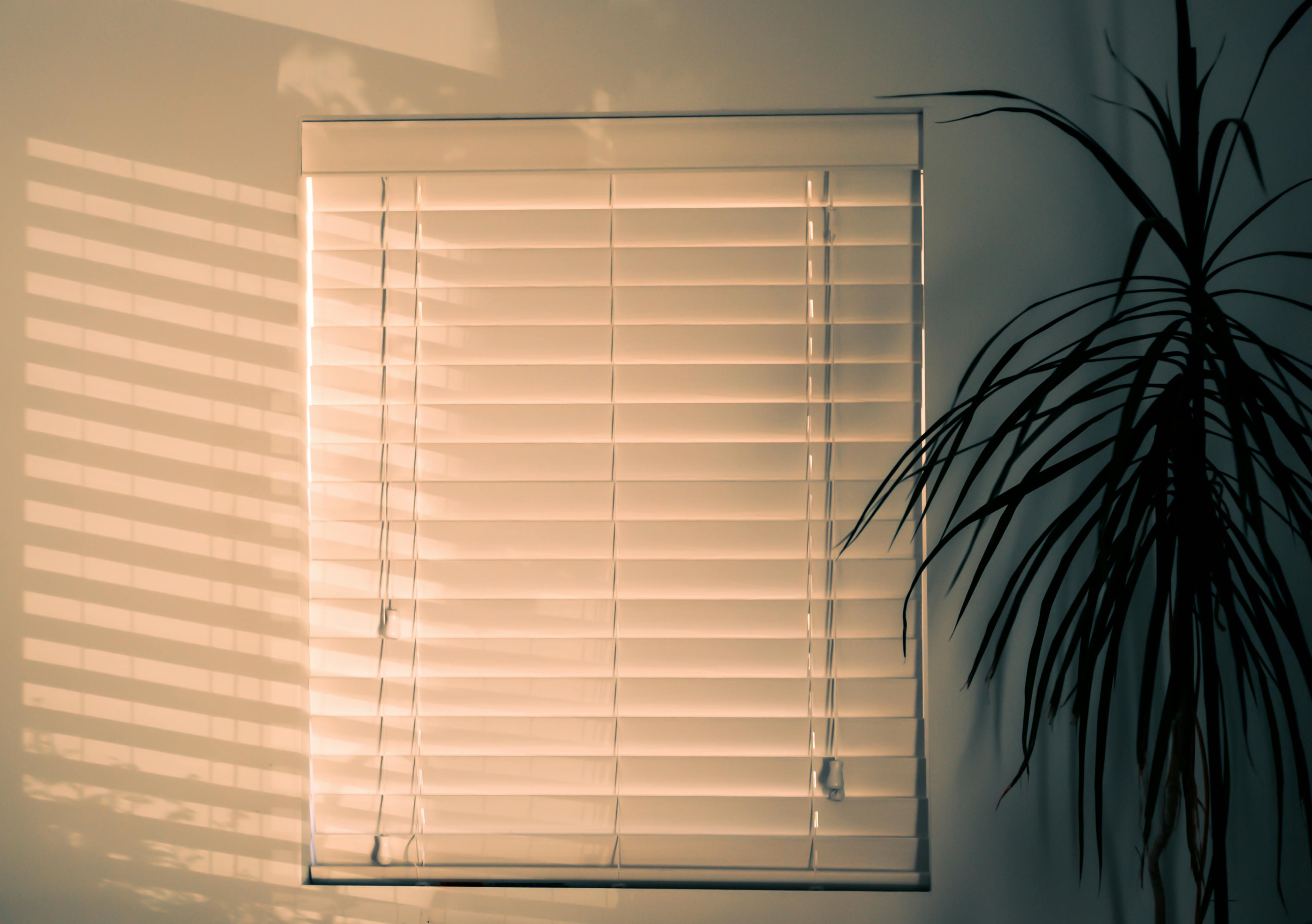 Blinder stock photo. Image of window, eyeshade, indoors - 34723200