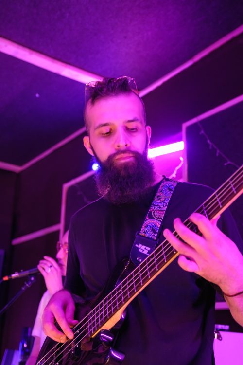 Free Male bassist with a beard plays a bass guitar under vibrant pink lights indoors. Stock Photo