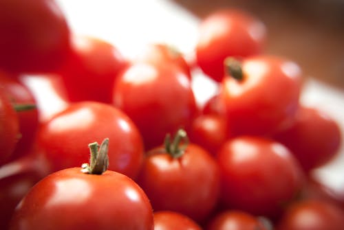 Close-up Photography of Tomatoes