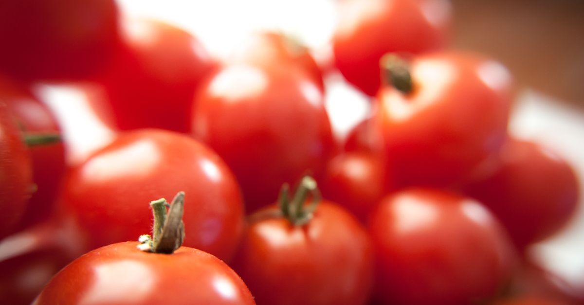 Vibrant close-up of fresh, ripe red tomatoes perfect for healthy eating. - Evidence evidence guide for lycopene skin health meta-analysis