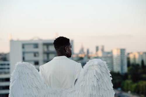 Foto d'estoc gratuïta de afroamericà, ales, àngel blanc