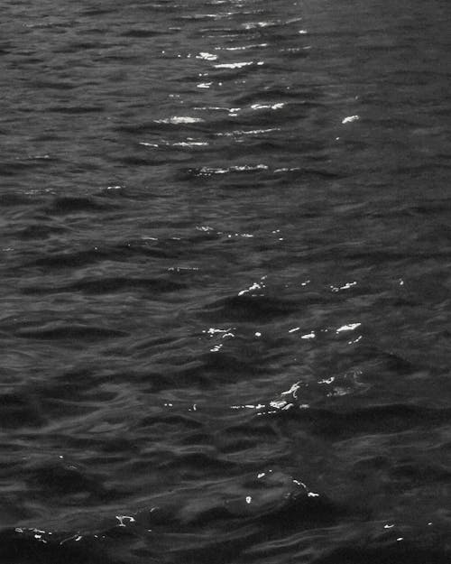 Grayscale Photo of a Body of Water