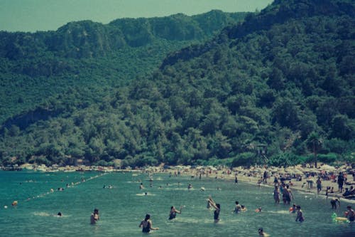 Бесплатное стоковое фото с берег, горы, деревья