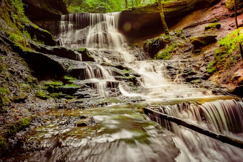 A Beautiful Waterfall in the Forest