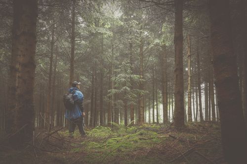Free A man in a blue raincoat hikes through a lush forest, capturing the essence of adventure in nature. Stock Photo