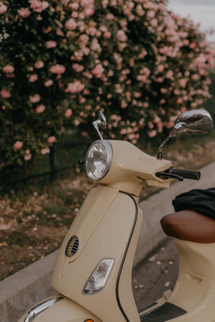 Beige Vintage Style Scooter And Bush With Pastel Pink Flowers