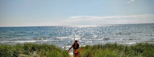 Free stock photo of american beach, beach background, carefree Stock Photo