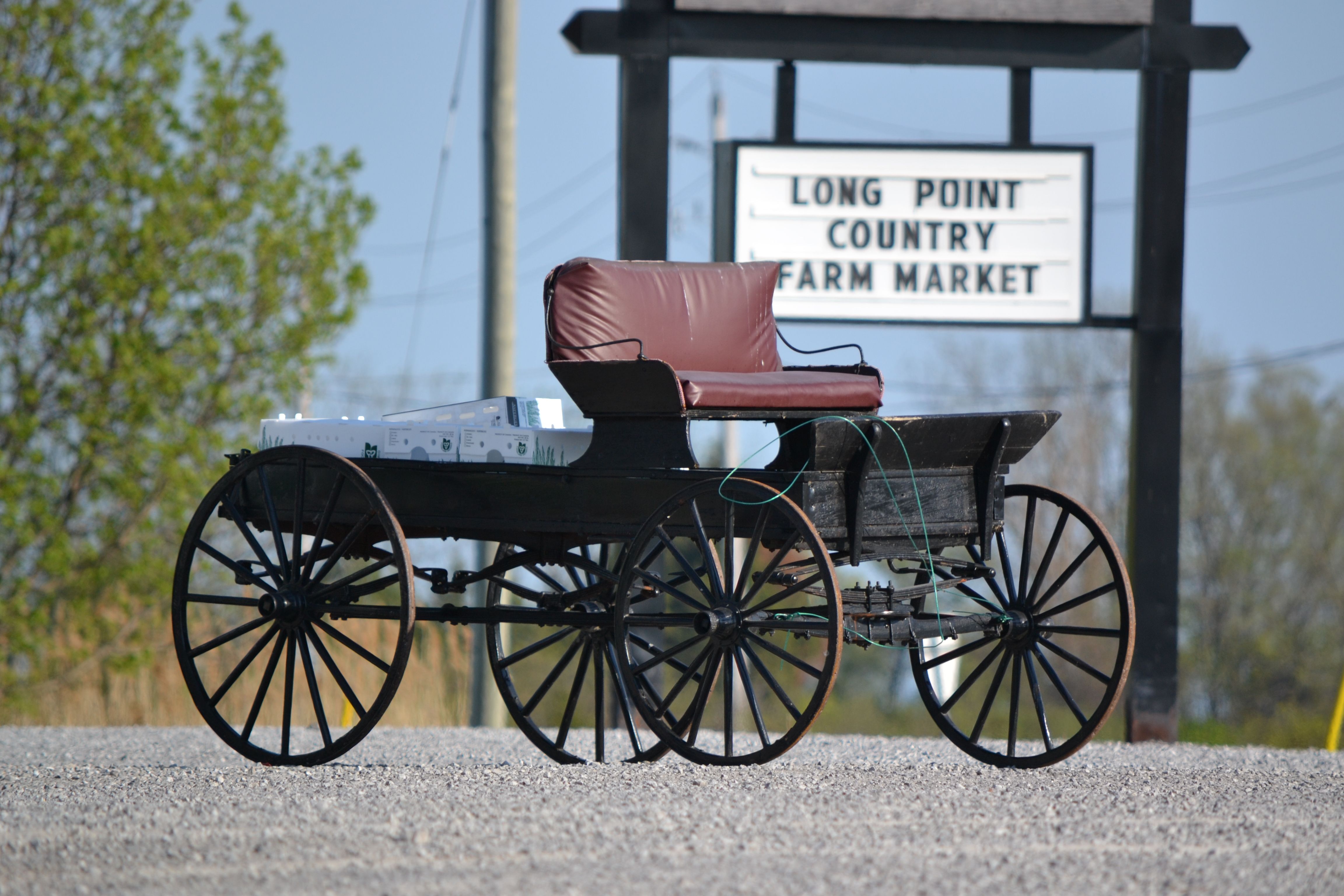 Amish