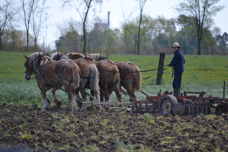 A Farmer Plowing The Field With Horses