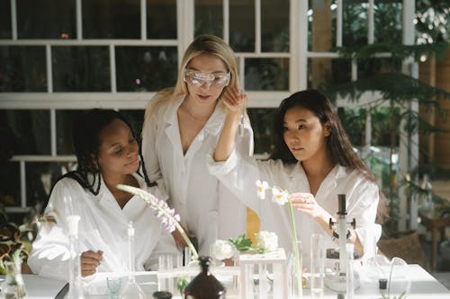Free Women Scientists Experimenting Stock Photo