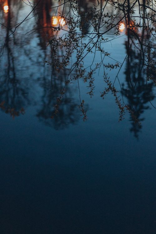 Free Tranquil reflection of trees and twinkling lights on calm water surface at dusk. Stock Photo