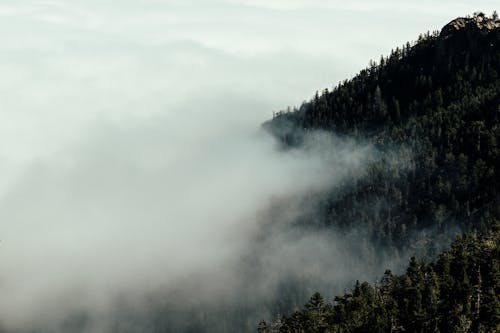 Foto profissional grátis de cênico, colina, escuro