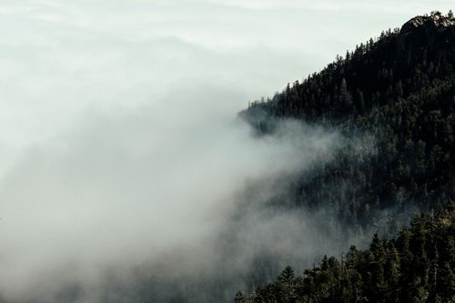 Free A serene view of a forested mountain wrapped in dense fog, creating a mystical atmosphere. Stock Photo