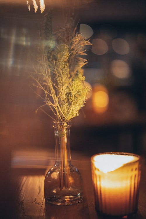 Twigs in a Glass Bottle