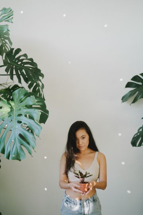 Free A woman holding a potted plant stands amidst large Monstera leaves against a softly lit backdrop. Stock Photo